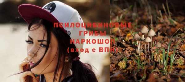 прущий лед Алзамай