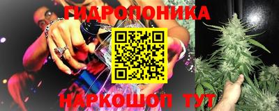 шишки Беслан