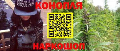 шишки Беслан