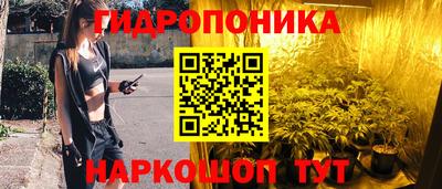 шишки Беслан