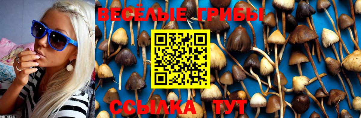 Псилоцибиновые грибы Cubensis  что такое   Дзержинский  Вход с VPN 
